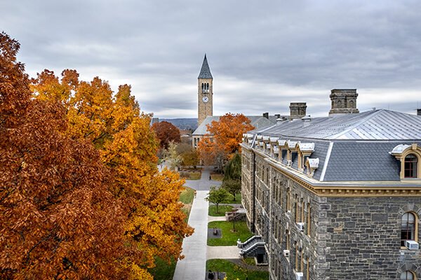 Cornell University MBA