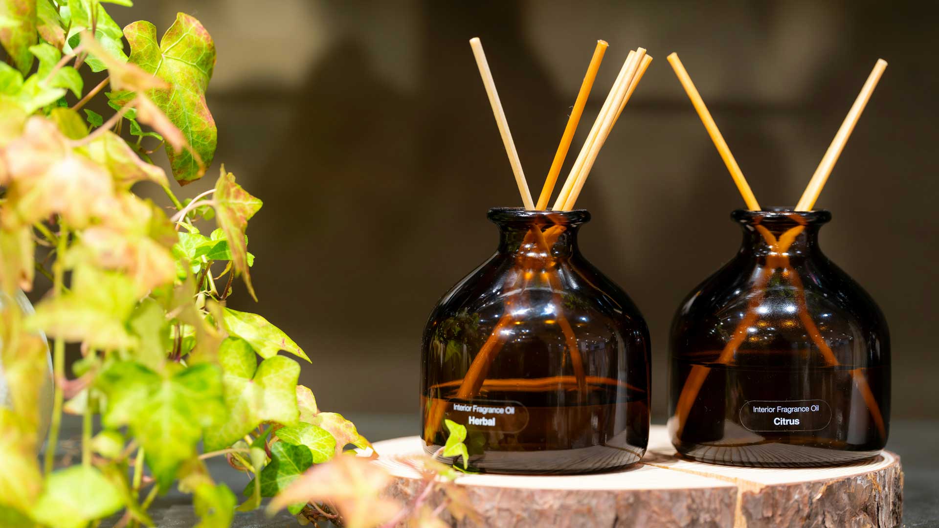 How-a-fragrance-trial-program-Helps-Businesses-Test-Commercial-Scenting
